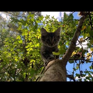 Meet your Posher, Chloe